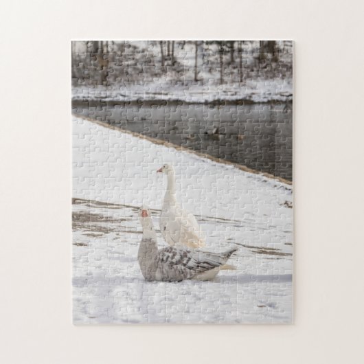 Puzzle Whats Up Goose (Vertical)