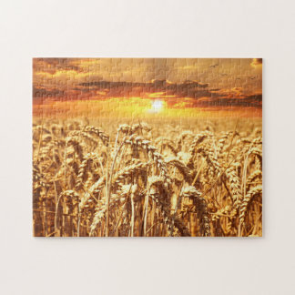 Puzzle Wheat Field Sunset