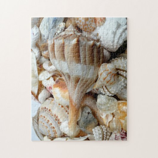 Puzzle Whelk de Beach Shells (Vertical)