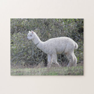 Puzzle - White Alpaca Legpuzzel