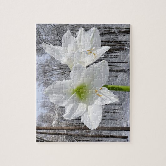 Puzzle White Amaryllis and Snow I (Vertical)