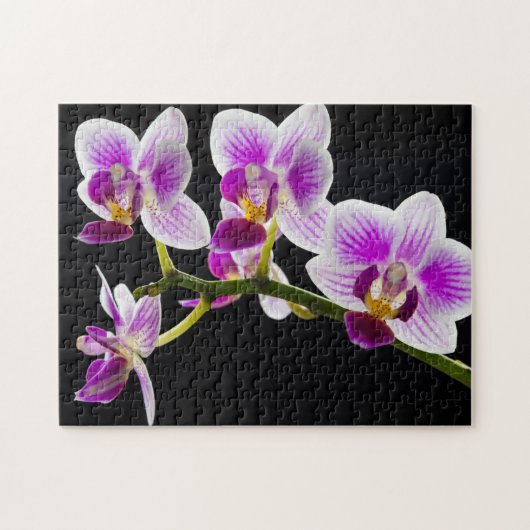 Puzzle White and purple orchid (Horizontal)