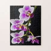 Puzzle White and purple orchid (Vertical)
