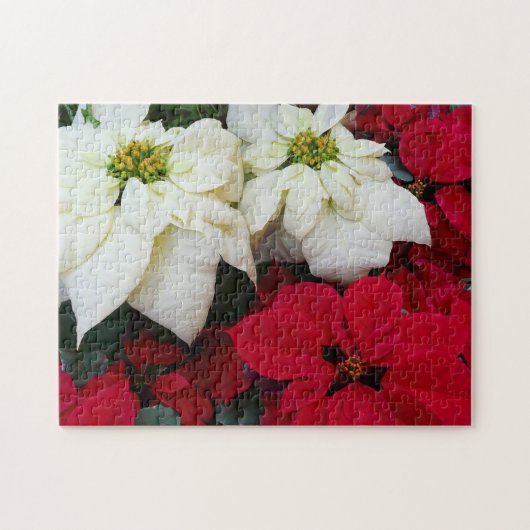 Puzzle White and Red Poinsettias (Horizontal)