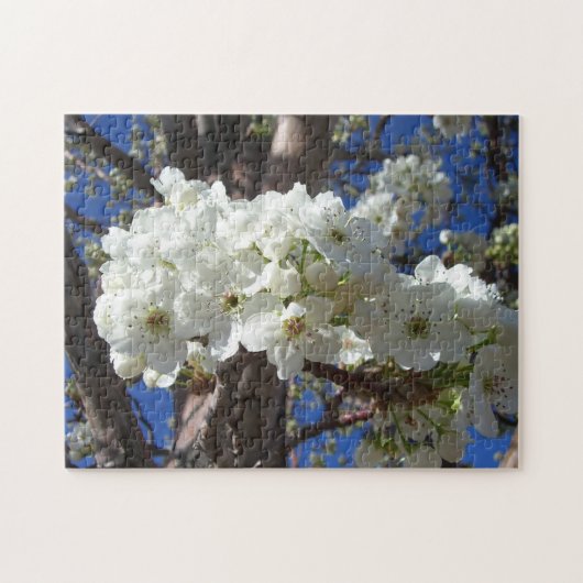 Puzzle White Blossoms II (Horizontal)