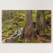 Puzzle White Branch Falls, Oregon Cascades, Oregon (Horizontal)