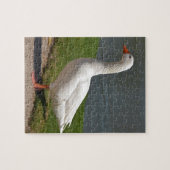 Puzzle White goose near of pond (Horizontal)