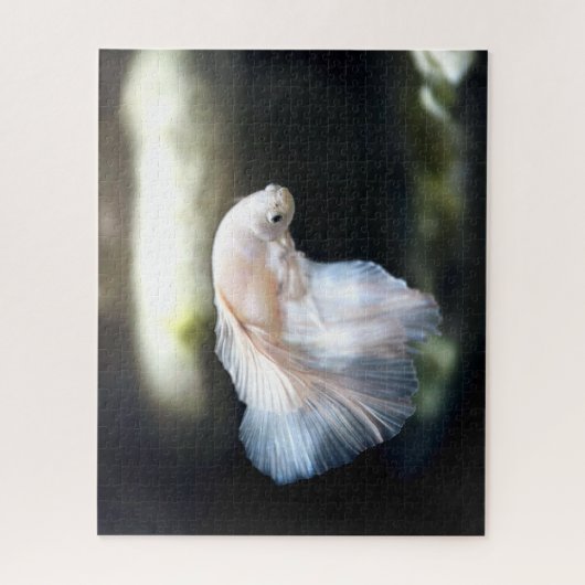 Puzzle White siamese Fighting Fish (Vertical)