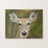 Puzzle White Tailed (Horizontal)
