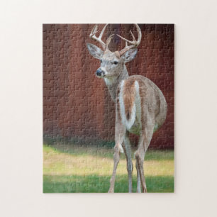 Puzzle Whitetail Buck portrait, Missoula, Montana