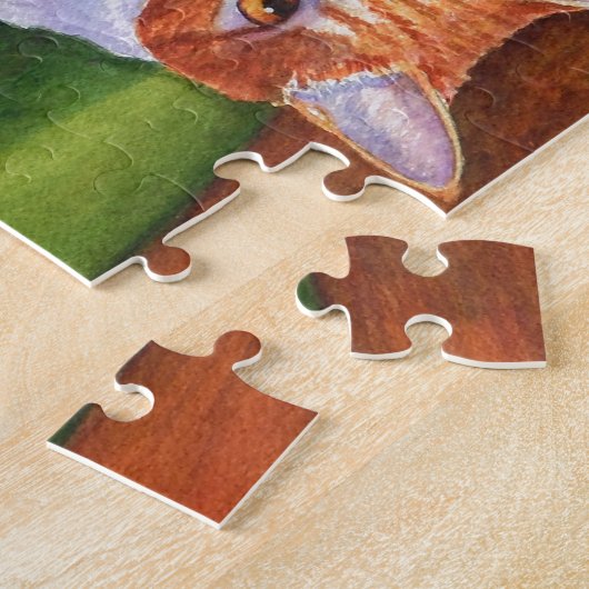 Puzzle Widget de Nancy (Côté)