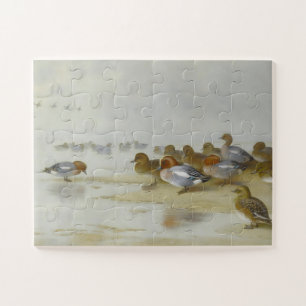 Puzzle Wigeon et Turquoise au bord de l'eau, Art