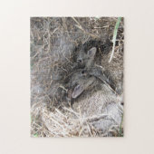 Puzzle Wild Baby Bunnies (Vertical)