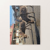 Puzzle Wild Burros à Oatman, Arizona (Vertical)