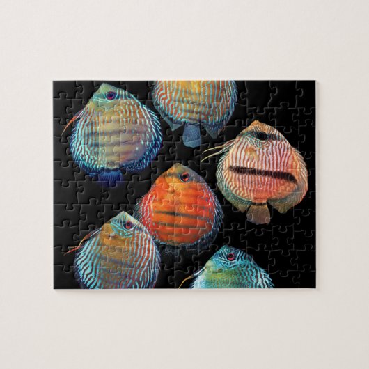 Puzzle Wild Discus (Horizontal)