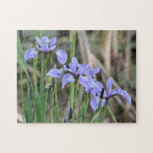 Puzzle Wild Iris