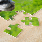 Puzzle Wild Life Canada. Gros mouton de corne. (Côté)