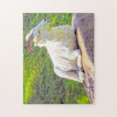 Puzzle Wild Life Canada. Gros mouton de corne. (Vertical)