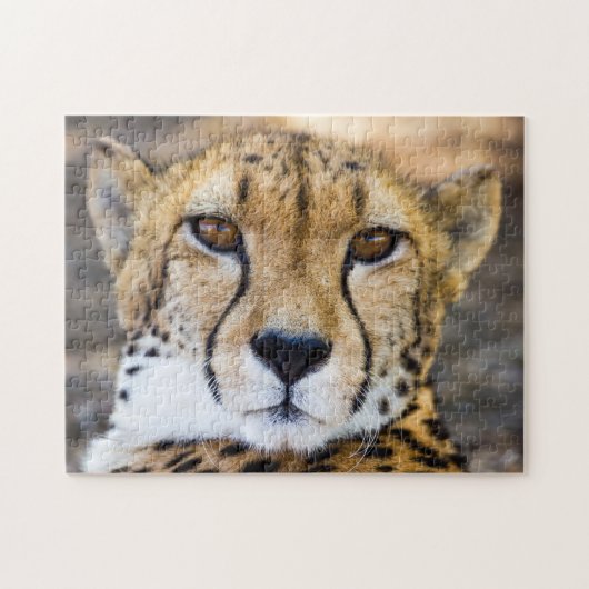 Puzzle Wildcat Cheetah Leopard Nature sauvage (Horizontal)