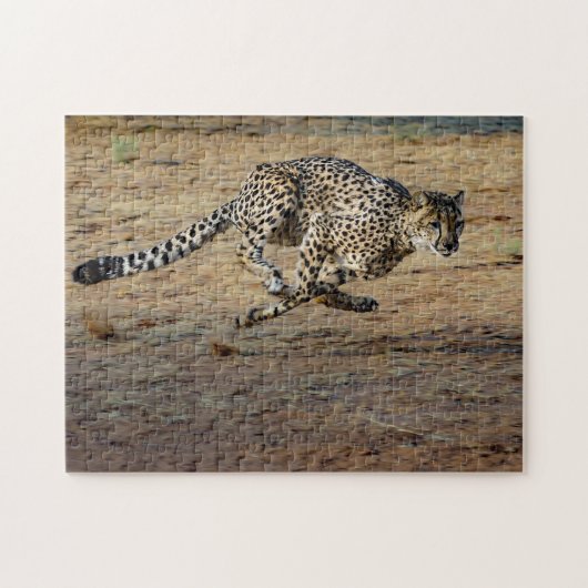 Puzzle Wildlife Cheetah Running Photo (Horizontal)