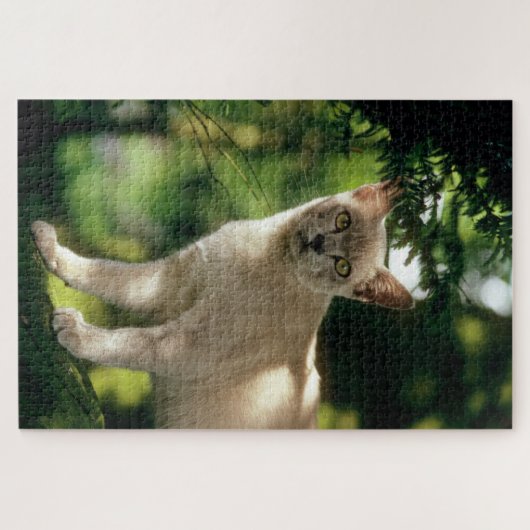 Puzzle Wilham. (Horizontal)