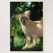 Puzzle Wilham. (Vertical)