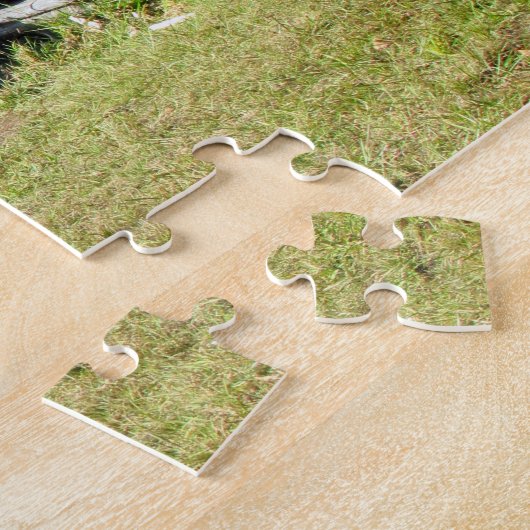 Puzzle Willey's Pond, Saco River, North Conway, N.H. (Côté)