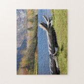 Puzzle Willey's Pond, Saco River, North Conway, N.H. (Vertical)