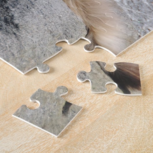 Puzzle Windswept Cat by Sea (Côté)