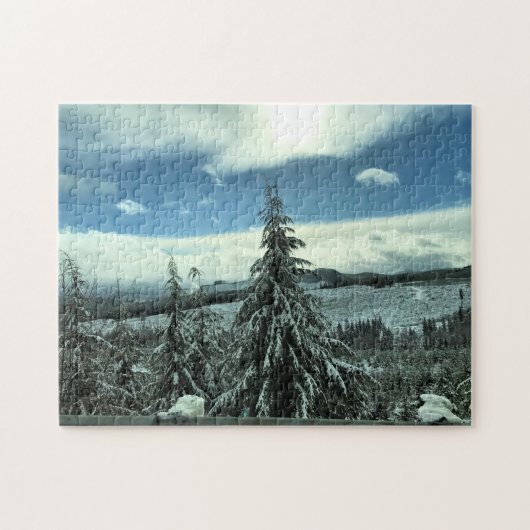 Puzzle Winter dans la Tillamook State Forest, Oregon (Horizontal)