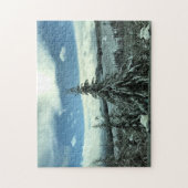Puzzle Winter dans la Tillamook State Forest, Oregon (Vertical)