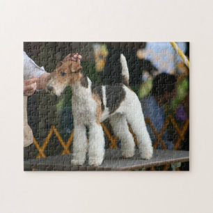 Puzzle Wire Fox Terrier