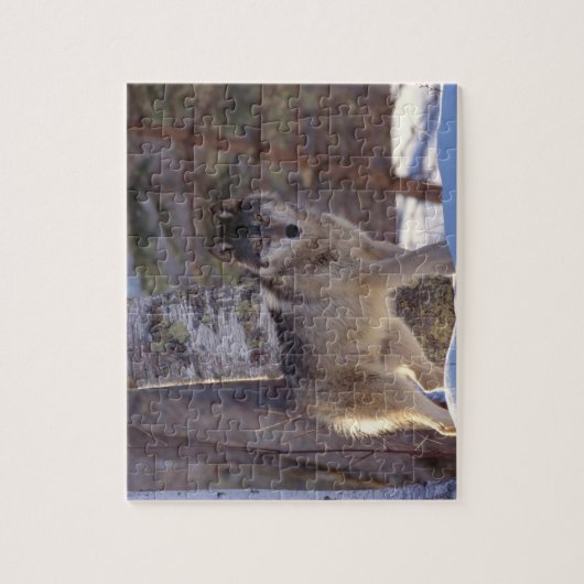Puzzle Wolf (Vertical)