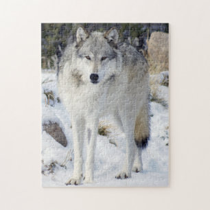 Puzzle Wolf 11" x 14" 252 Pièce Avec Boîte Cadea