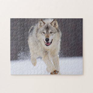 Puzzle Wolf Game