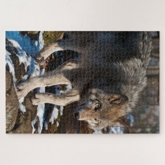 Puzzle Wolf Jigsaw (Horizontal)
