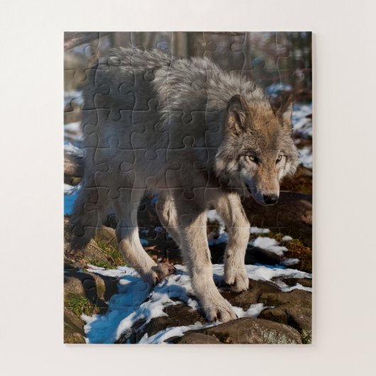 Puzzle Wolf Jigsaw (Vertical)