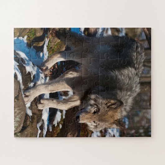 Puzzle Wolf Jigsaw (Horizontal)