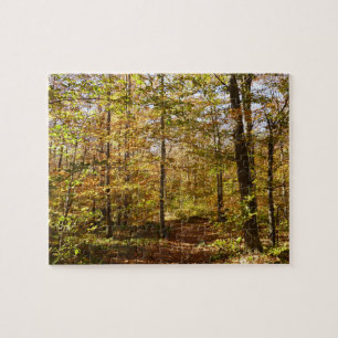 Puzzle Wolf Rocks Trail en automne Pennsylvanie Paysage