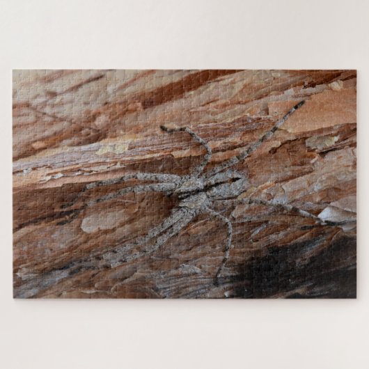 Puzzle Wolf Spider (Horizontal)