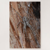 Puzzle Wolf Spider (Vertical)