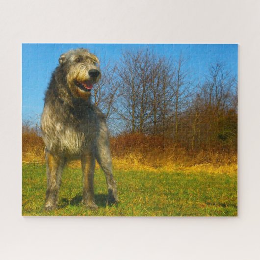 Puzzle Wolfhound irlandais. (Horizontal)
