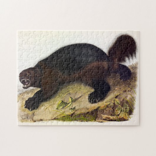 Puzzle Wolverine ou Wolverene (Gulo gulo) par Audubon (Horizontal)
