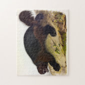 Puzzle Wolverine ou Wolverene (Gulo gulo) par Audubon (Vertical)