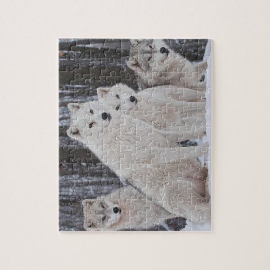 Puzzle Wolves Game (Vertical)