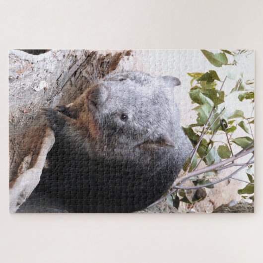 Puzzle Wombat (Horizontal)
