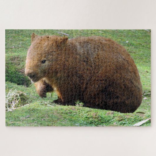 Puzzle wombat australien (Horizontal)
