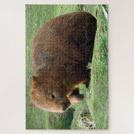 Puzzle wombat australien (Vertical)