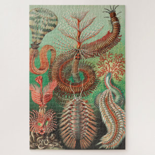Puzzle Worms, Annelids Chaetopoda by Ernst Haeckel