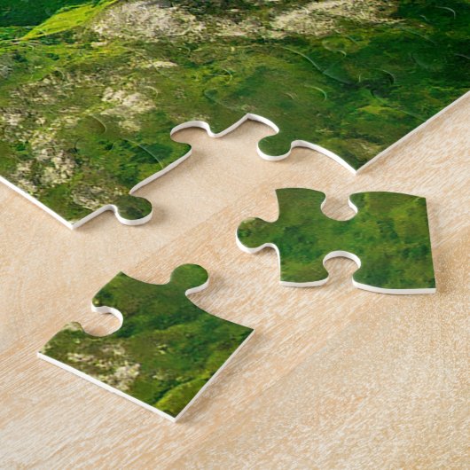 Puzzle Wrangell Mountains Alaska (Côté)